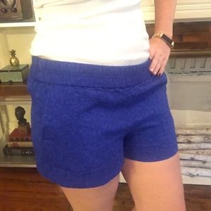 Adorable J. Crew Shorts